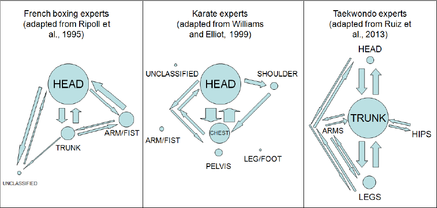 Pattern of visual search behavior of French boxing, karate and taekwondo experts. Circle size shows fixation time in each area and arrow thickness indicates frequency of saccadic between two areas.