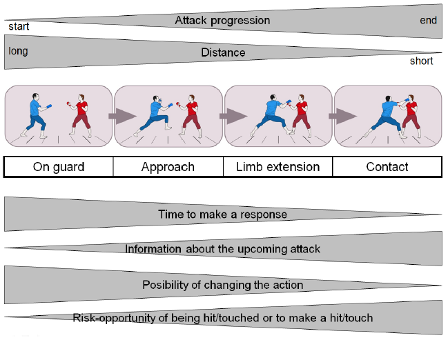 A model for perception and action on combat sports based on distance, attack progression and opponent reaction.