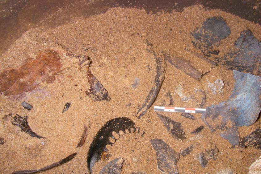 Proceso de excavaciónde la urna Alatoe1. Foto: Gérald Migeon.