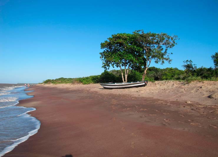 Orillas
del mar en Awala-Yalimapo. Foto: Gérald Migeon