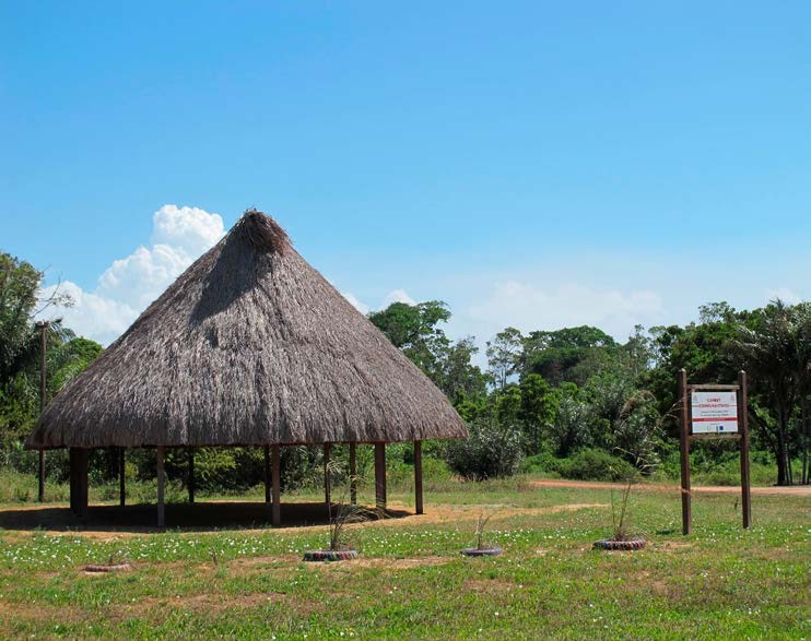 Palapas tradicionales en Awala-Yalimapo. Foto: Gérald Migeon.



 