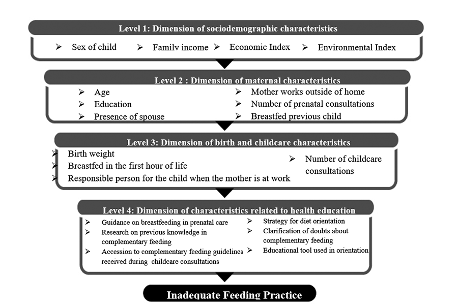 Hierarchical causal model of the inadequate feeding practice in
							children&acute;s diet.2
							Recife, PE, Brazil, 2015