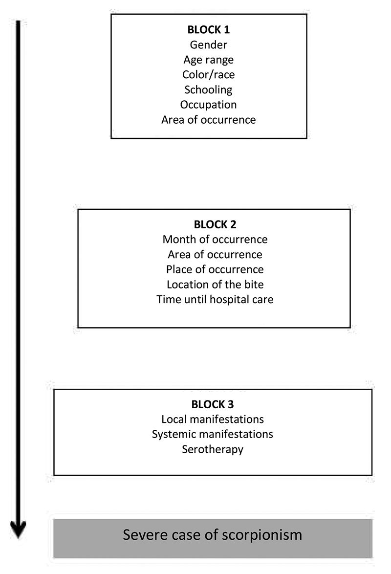 Hierarchical conceptual model of outcome determination. Jequi&eacute;, BA, Brazil, 2017