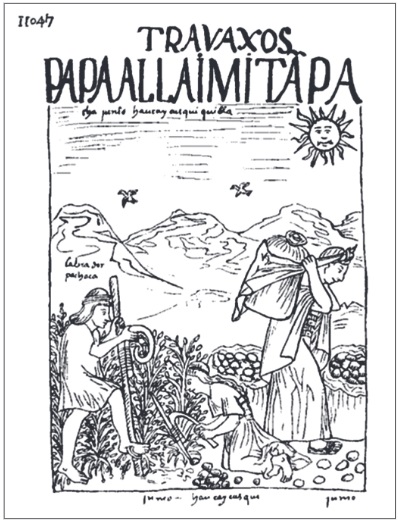 Allay Mit’a (tiempo de maduración y cosecha)