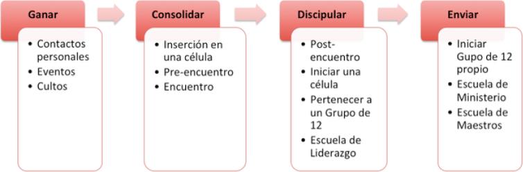 Proceso que sigue una persona dentro del modelo
                            G-12