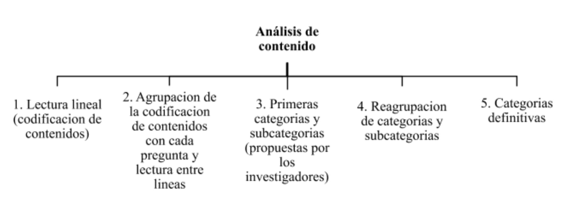An&aacute;lisis de Contenido