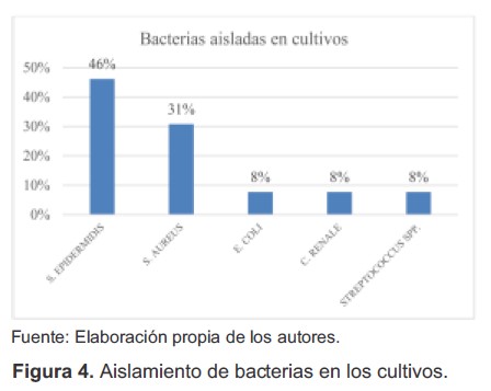 Aislamiento de bacterias en los cultivos