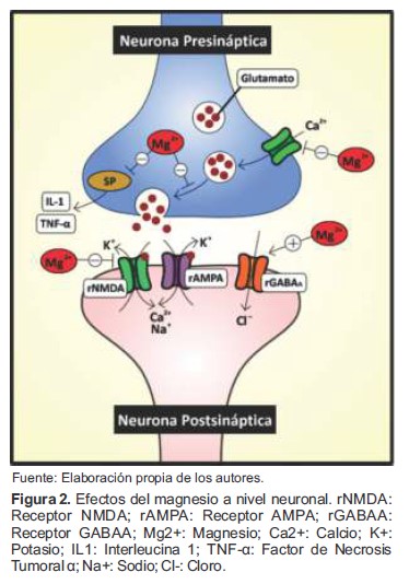 nmda y magnesio