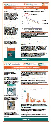 Ejemplo de Promotores de Evidencia de RNAO publicados en el periodo 2017