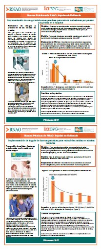 Ejemplo de Promotores de Evidencia de RNAO publicados en el periodo 2017