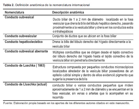 Definici&oacute;n anat&oacute;mica de la nomenclatura internacional