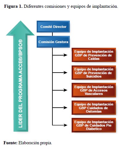 Diferentes comisiones y equipos de implantación