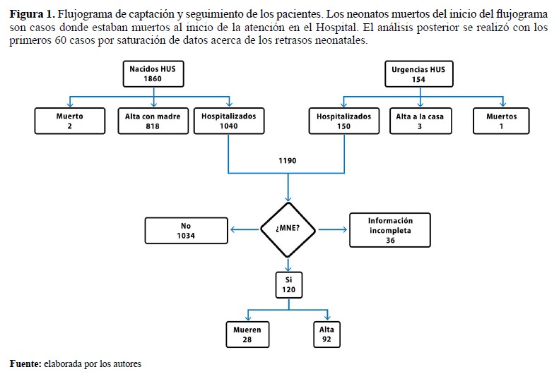 Flujograma de captación y seguimiento de los pacientes Los neonatos muertos del inicio del flujograma son casos donde estaban muertos al inicio de la atención en el Hospital El análisis posterior se realizó con los primeros 60 casos por saturación de datos acerca de los retrasos neonatales