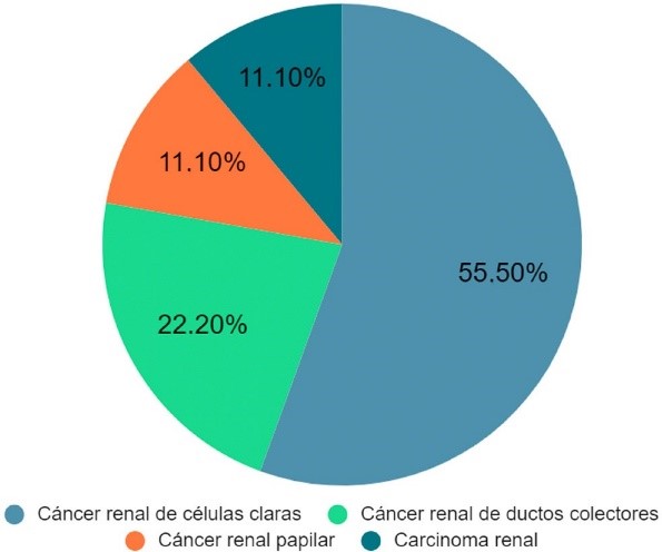 Distribucin de los tumores de origen primario en las neoplasias de origen metastsico