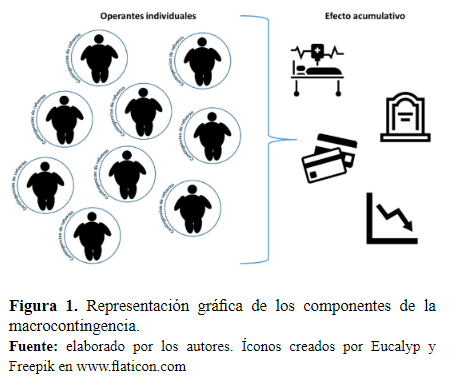 Figura 1. Representaci�n gr�fica de los componentes de la macrocontingencia.