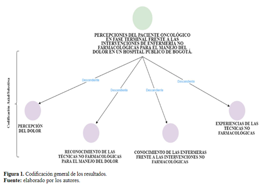 Figura 1.Codificación general de los resultados