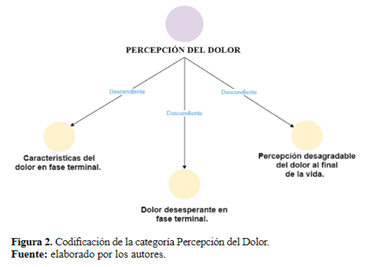 Figura 2. Codificación de la categoría Percepción del Dolor.