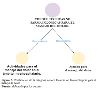 Figura 3. Codificación de la categoría conoce técnicas no farmacológicas para el manejo de dolor