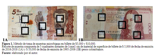 Figura 1. Método de toma de muestras microbianas en billete de $5,000 y $10,000.