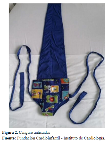 Figura 2. Canguro antica�das