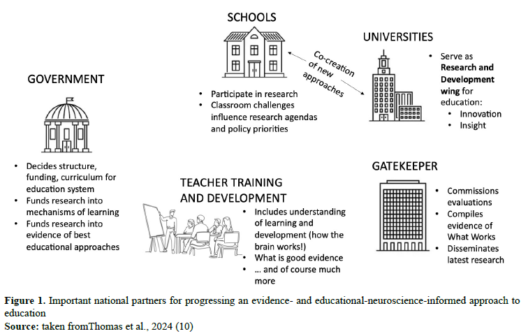 Figure 1.Important national partners for progressing an evidence- and educational-neuroscience-informed approach to education