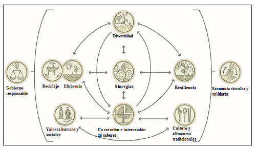 Forma de agroproducci&oacute;n propuesta por la FAO que evidencia relaci&oacute;n con la producci&oacute;n del ma&iacute;z en el pueblo Natabuela