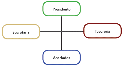 Estructura organizativa de las asociaciones de recicladores