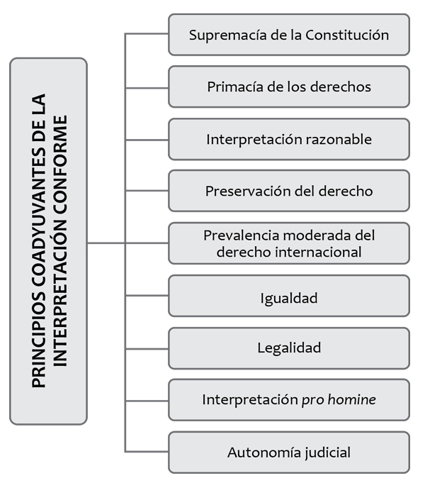 Principios coadyuvantes de la interpretaci&oacute;n conforme, seg&uacute;n la Corte Constitucional colombiana