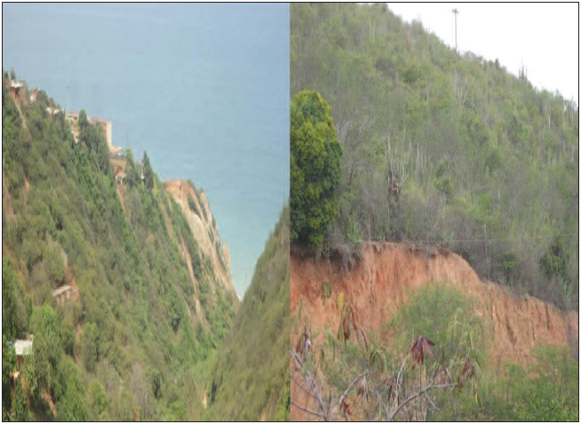 Matorral
espinoso bajo &ndash; medio quebrada Tacoa y sector Picure