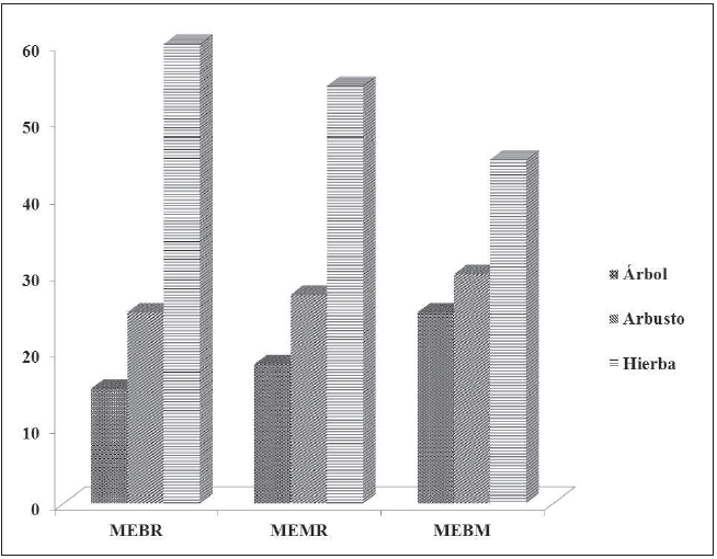 Formas de vida en el tramo Mamo &ndash;
Tacoa