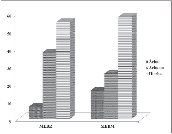 Formas de vida en el sector Picure 

 