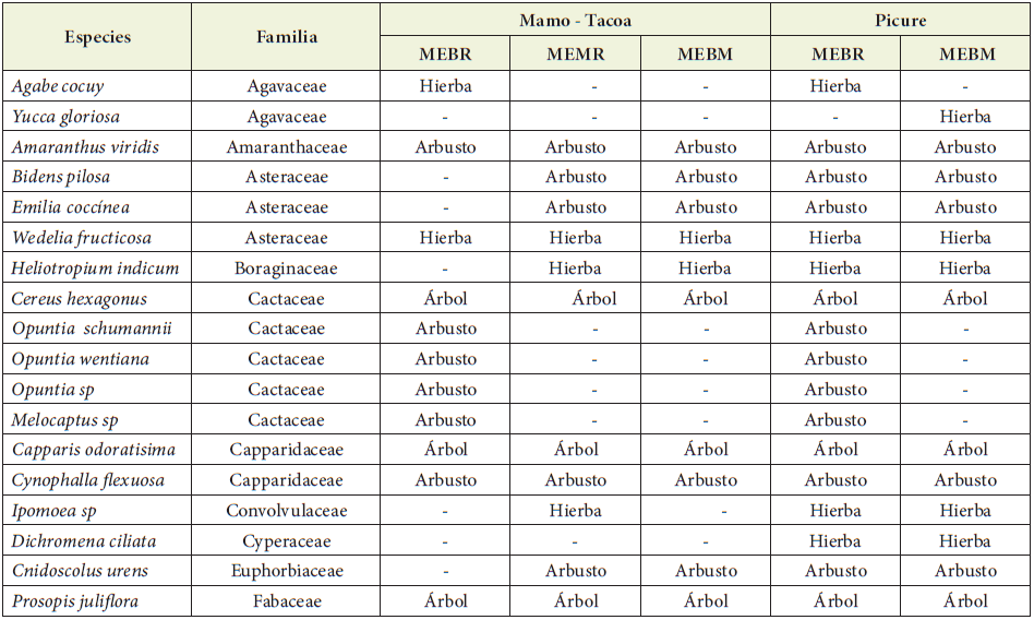 Formas de vida presentes en el
matorral espinoso