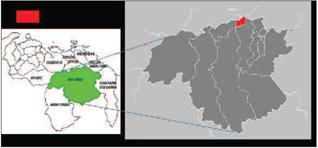 Ubicaci&oacute;n relativa del Municipio Caron&iacute; en el estado Bol&iacute;var 

 
