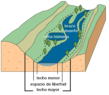 Figura
4. El espacio de libertad