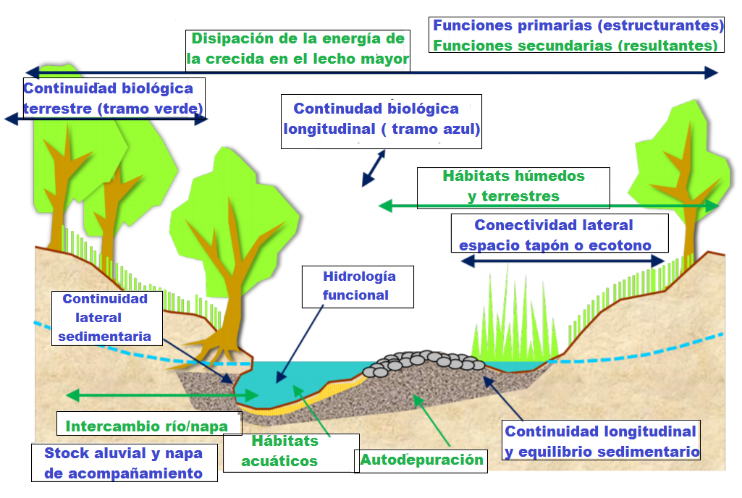 Figura
5. El río y sus múltiples interaccione