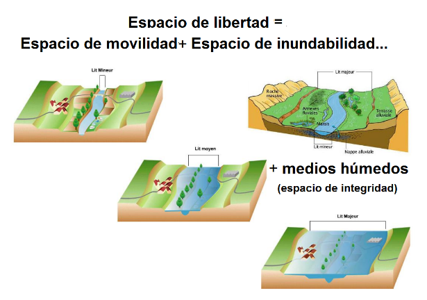 Figura 8. El espacio de libertad
en Quebec