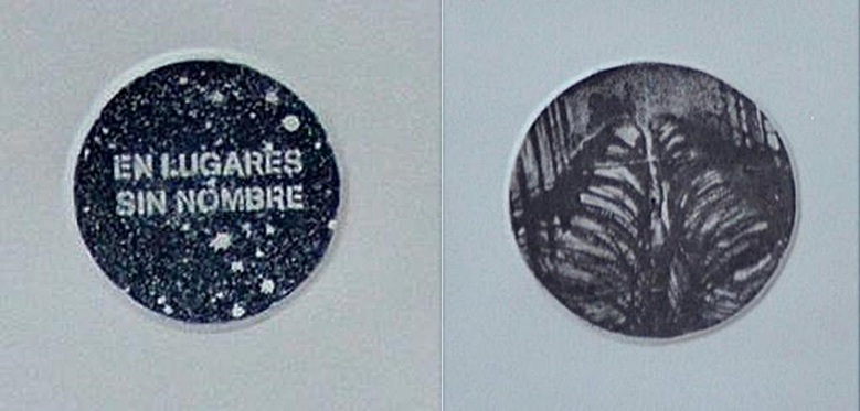 Martha Muñoz, Sin lugar para el olvido, detalles.