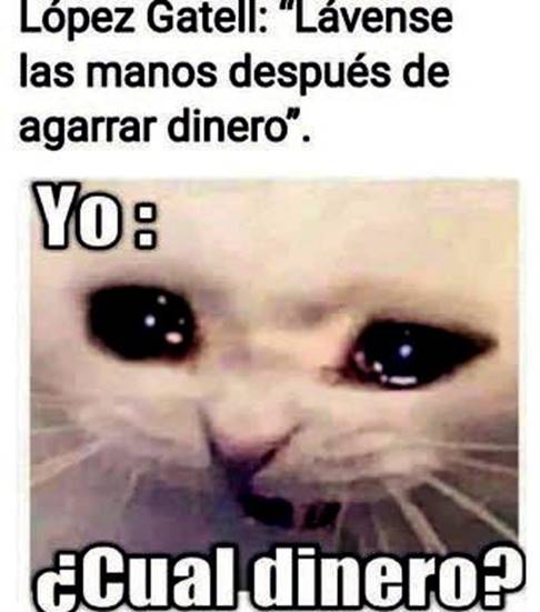 An&oacute;nimo, &ldquo;L&oacute;pez Gatell y la econom&iacute;a en tiempos de pandemia&rdquo;.