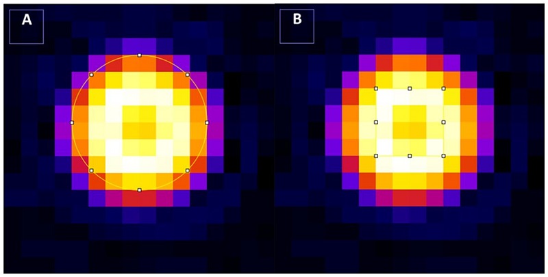 Extraction of intensity values in ImageJ's "ROI Manager" tool. A)  Circular ROI; B) 4 x 4 pixels ROI.
