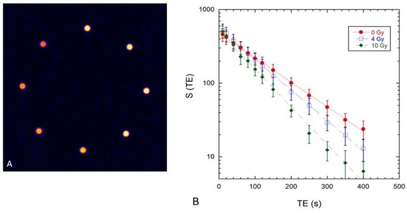 a) Example of a MR  image of the phantom with 8 vials irradiated with different doses. b) Signal  intensity from gel samples of the second batch irradiated at different doses as  a function of TE. The lines are exponential fits to the data points using Eq. (1).