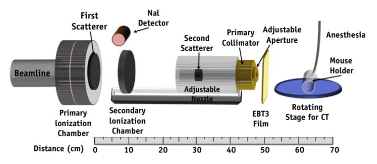 Experimental  scheme for in vivo verification of the FLASH effect by proton beam [11].