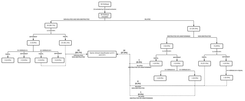 Schematic representation of the groups of  analyzes that were undertaken in the research work reported herein.