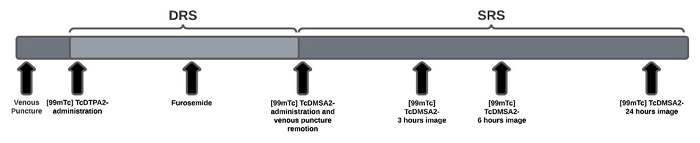 Schematics of the phases encompassing the  "one-day" protocol evaluated in this study.