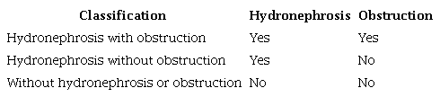 Dynamic Renal  Scintigraphy classification.