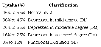 Static Renal  Scintigraphy classification.