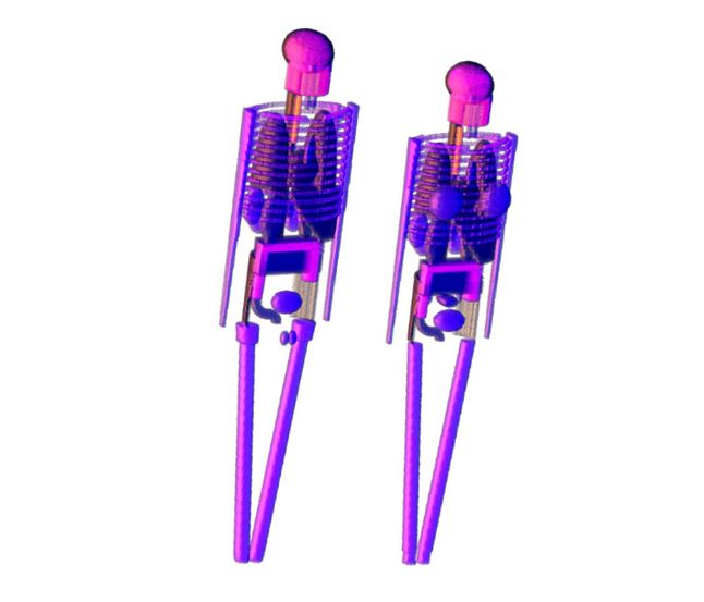 Views of ADAM and EVA.