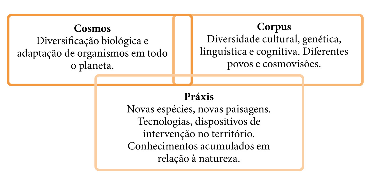 Figura 1. Fluxograma da memria biocultural