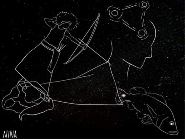 Mosaico de Constela��es