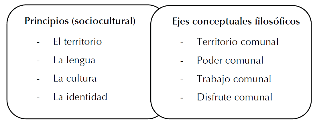 Principios y ejes articuladores en la ENBIO