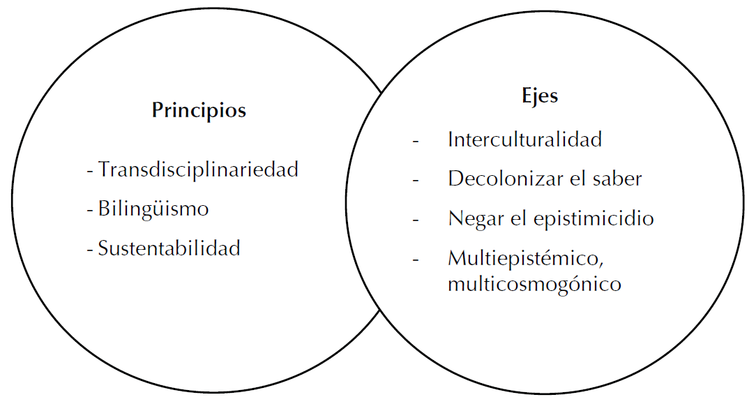 Principios y ejes que articulan el proceso formativo